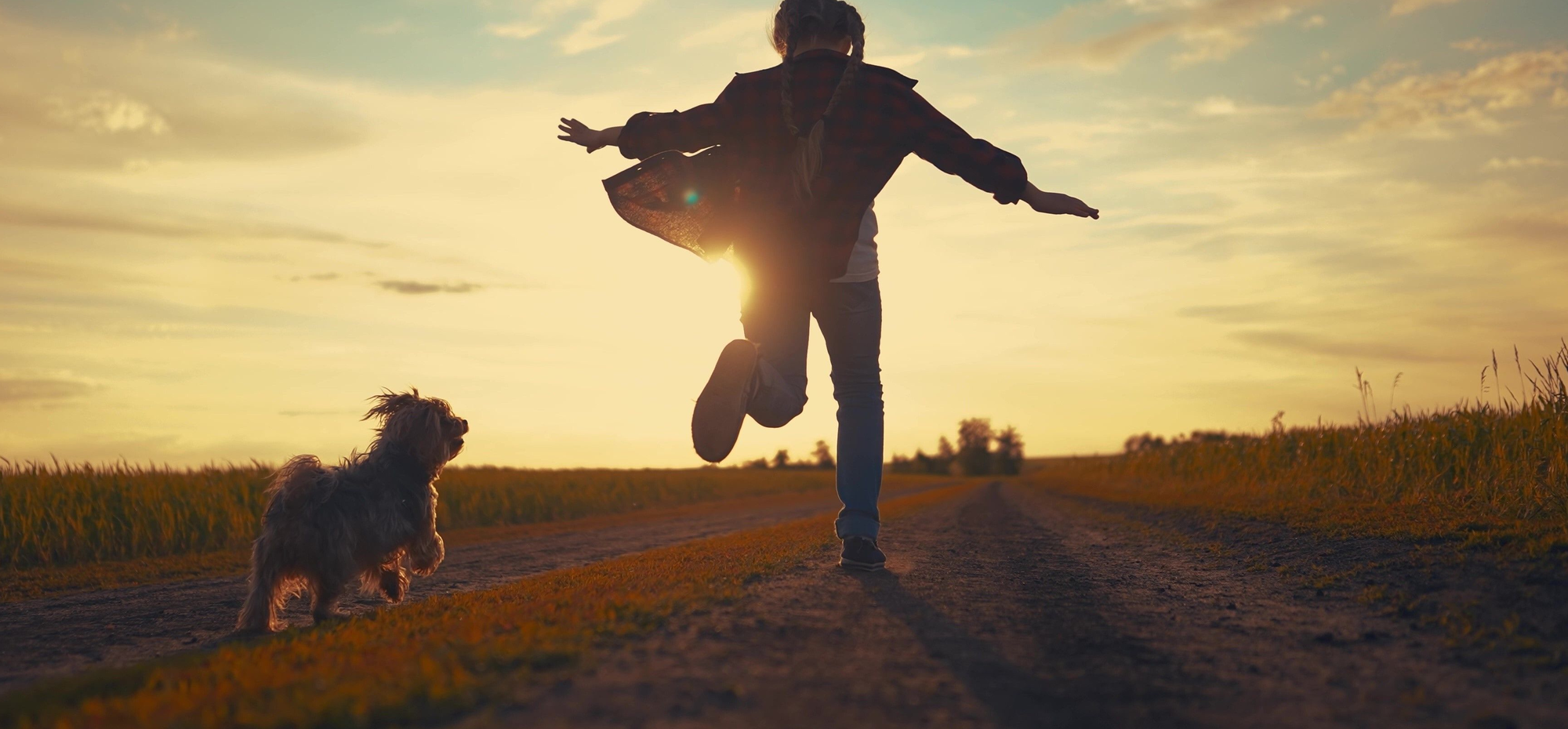 Urlaub mit Hund - © maxximmm_adobe.stock.com