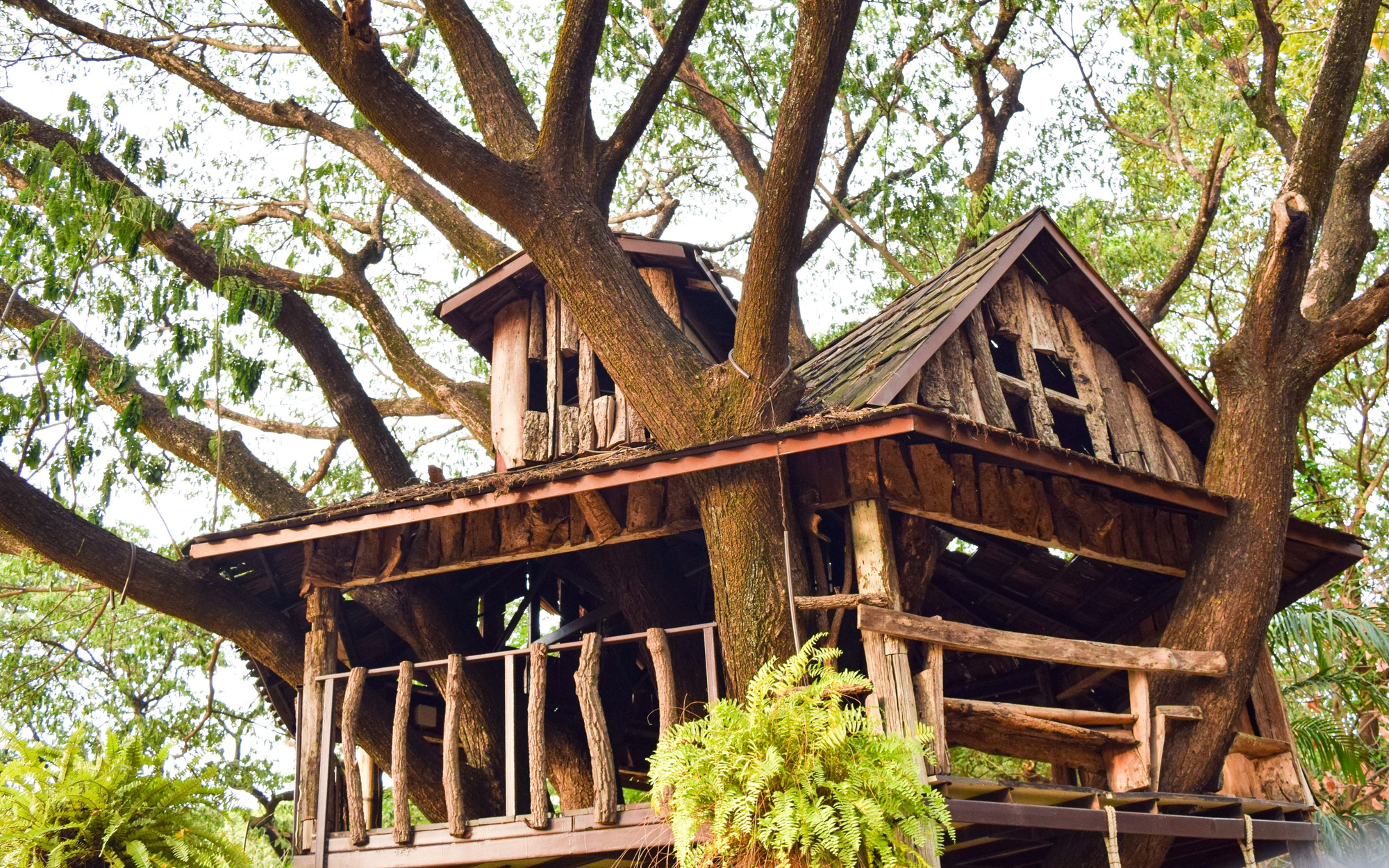 Übernachten mit Abenteuer - © apichart609 - adobe.stock.com